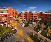 (出售) 出售獨(dú)棟研發(fā)樓，緊鄰新國(guó)展 首都機(jī)場(chǎng) 政策補(bǔ)貼 價(jià)格面議