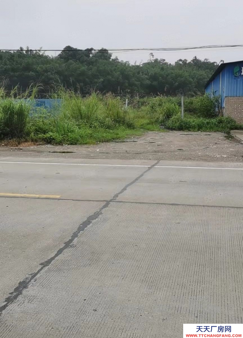 (出租) 廣東韶關仁化地皮 3000方 國道旁交通方便 砂石地面 有10多間房