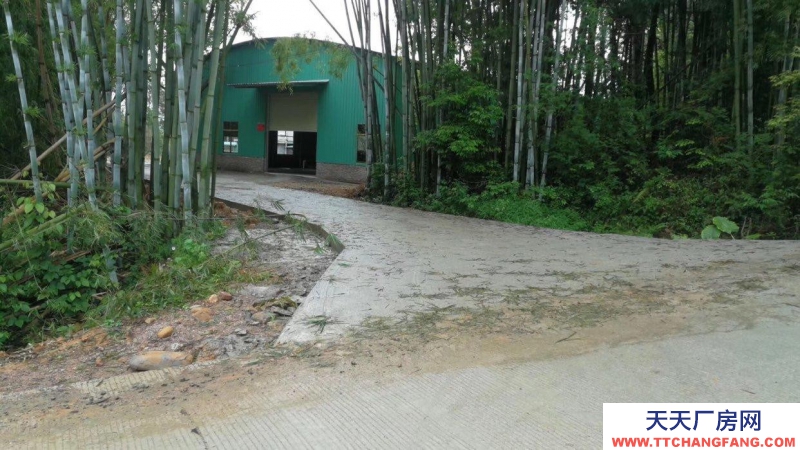 (出租) 廣東韶關新豐縣馬頭鎮廠房倉庫招租