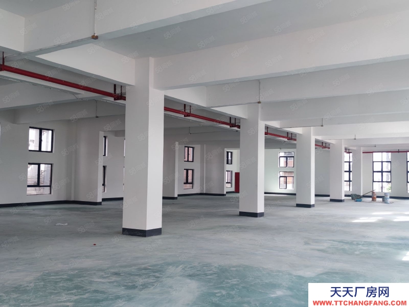 (出租) 廣東佛山業主直租時尚產業園500平方，交通便利，出貨方便，園區管理