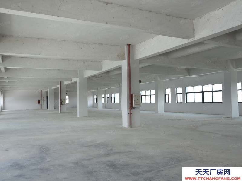 (出租) 廣東佛山1萬平高臺倉,雙邊出貨,有裝卸升降平臺雨棚3噸貨梯