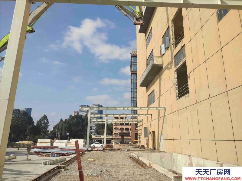 (出租) 廣東佛山獅山羅村 冷庫凍庫 招租面積不限可倉庫全托管服務業主直租