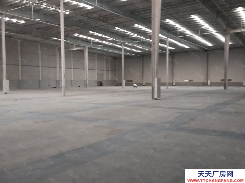 嘉興海鹽(出租) 海鹽獨門獨院2.6萬平高標倉庫出租