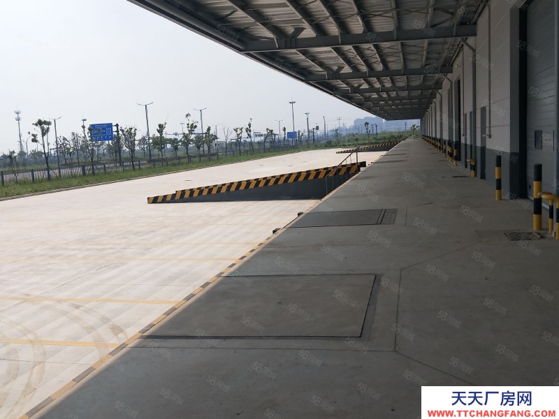 嘉興海鹽(出租) 海鹽獨門獨院2.6萬平高標(biāo)倉庫出租