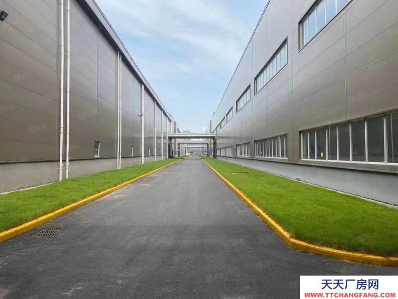 嘉興海鹽(出租) 嘉興海鹽8000平方倉(cāng)庫(kù)出租,急租,可短租15個(gè)月