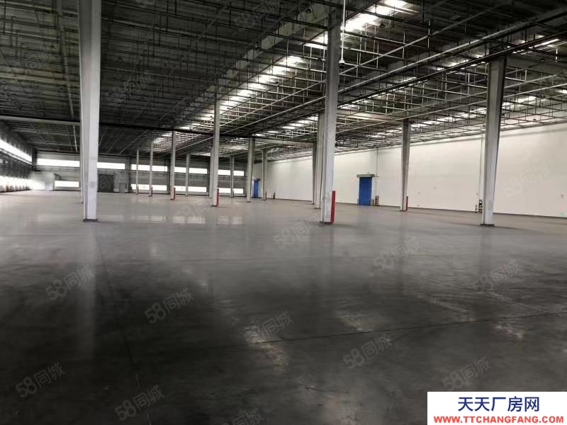 嘉興海鹽(出租) 嘉興海鹽8000平方倉庫出租，急租，可短租15個月