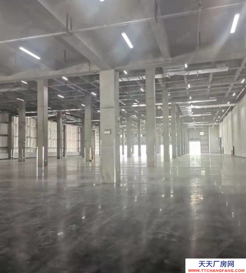 嘉興海鹽(出租) 嘉興海鹽6萬平方倉庫出租,急租,價(jià)格優(yōu)惠