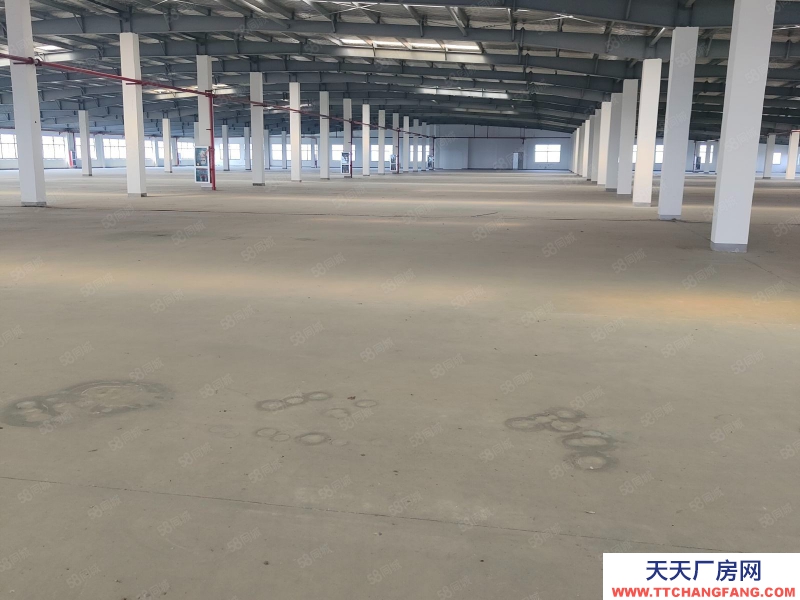 嘉興海鹽(出售) 獨門獨戶廠房出售，占地34畝，報價6200萬