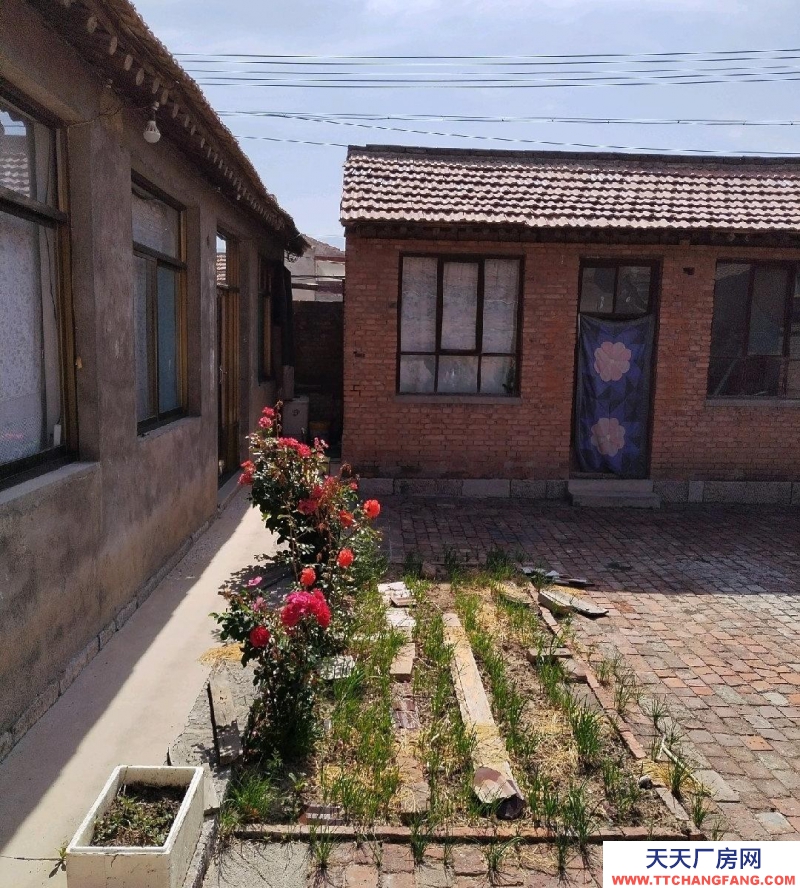 (出租) 出租院子,體驗新農人生活