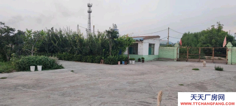 (出租) 整租,果園,超大場地,價格適合水電齊全