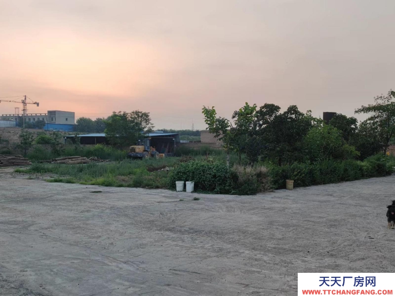 (出租) 整租,果園,超大場地,價格適合水電齊全