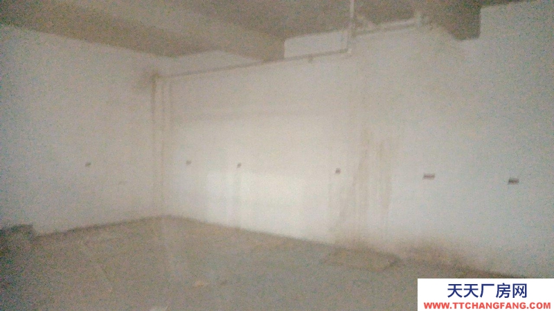 (出租) 庫房面積寬敞，可做倉庫