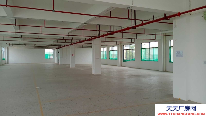 (出租) 玉林容縣開發(fā)區(qū)大型標準廠房