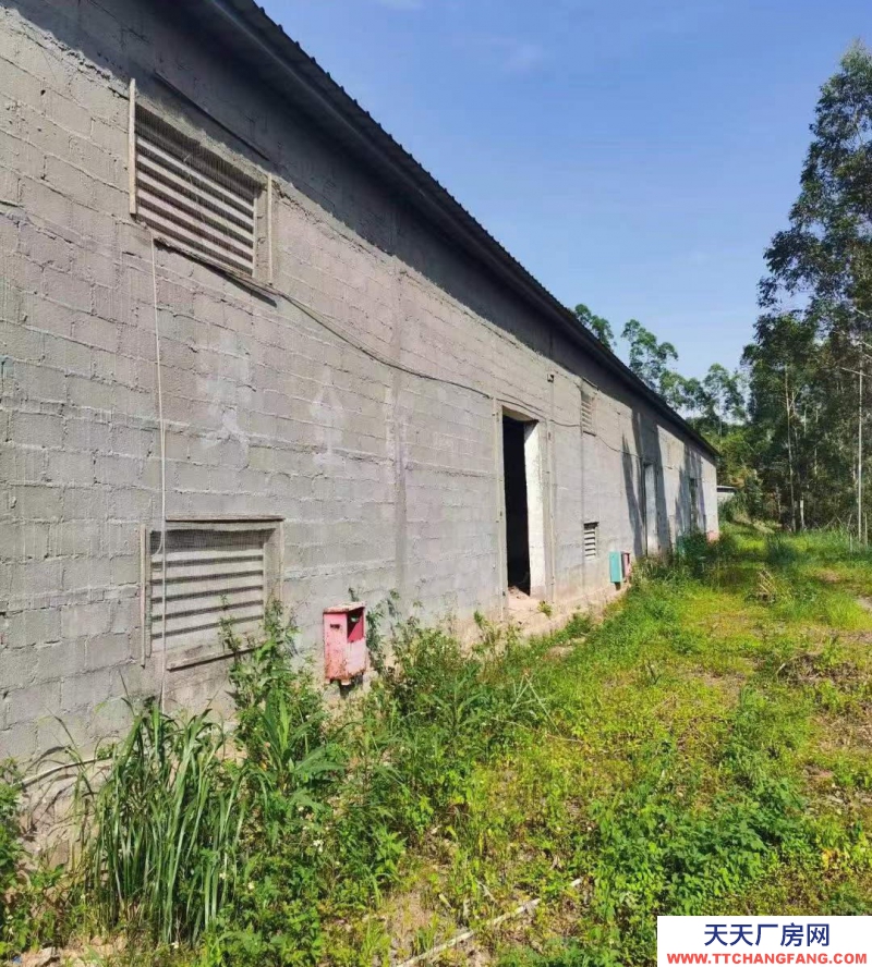 (出租) 玉林興業縣小平山鎮廠房