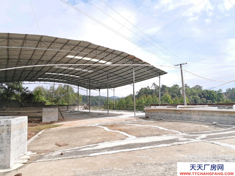 (出租) 玉林興業倉庫，廠房，農家樂，中藥加工廠。