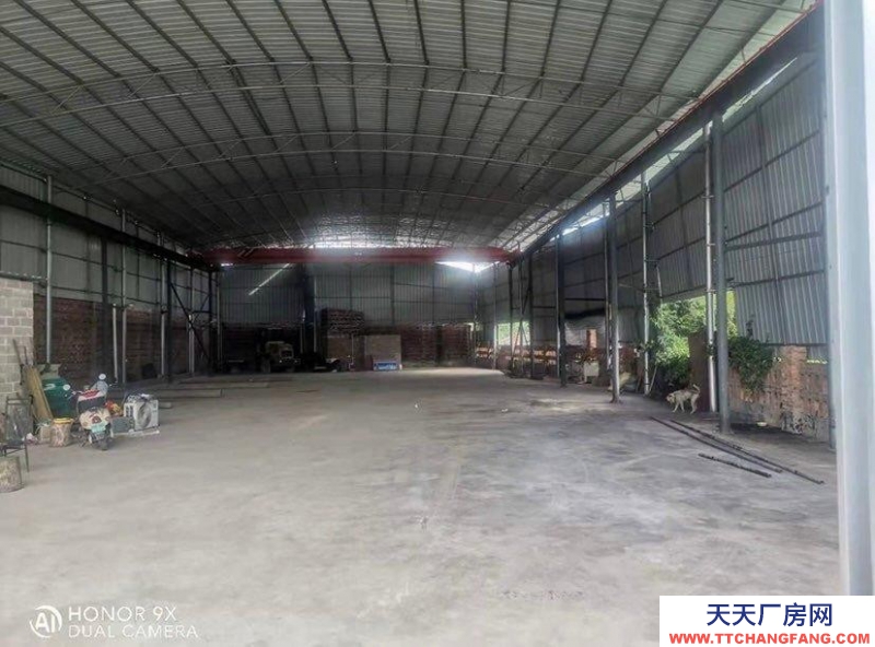 (出租)玉林興業 800方有行吊廠房招租，有辦公室，興業站附近，正對324國道