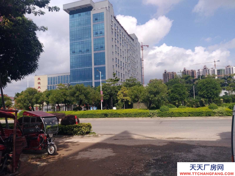 (出租) 梧州長洲區(qū)三龍大道文化大廈對面?zhèn)}庫