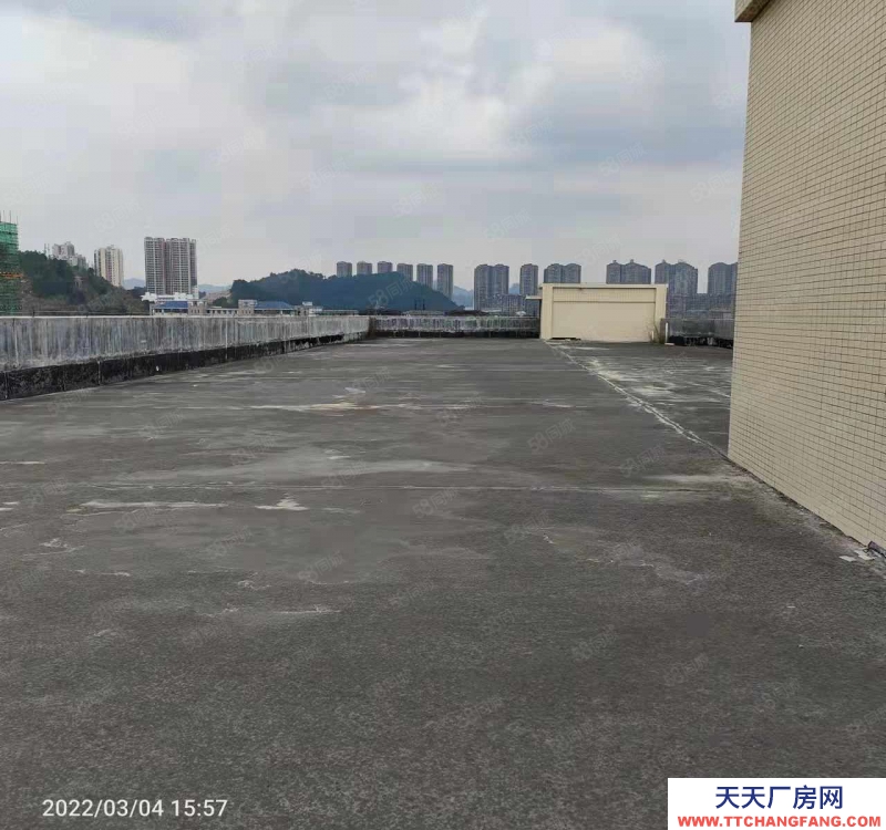 (出租) 梧州長洲三龍大道交流便利，出入方便，價格優美，大小車到門口