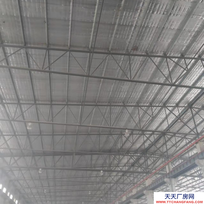 邯鄲 永年縣  出售永年區高岳村冀中能源附近廠房