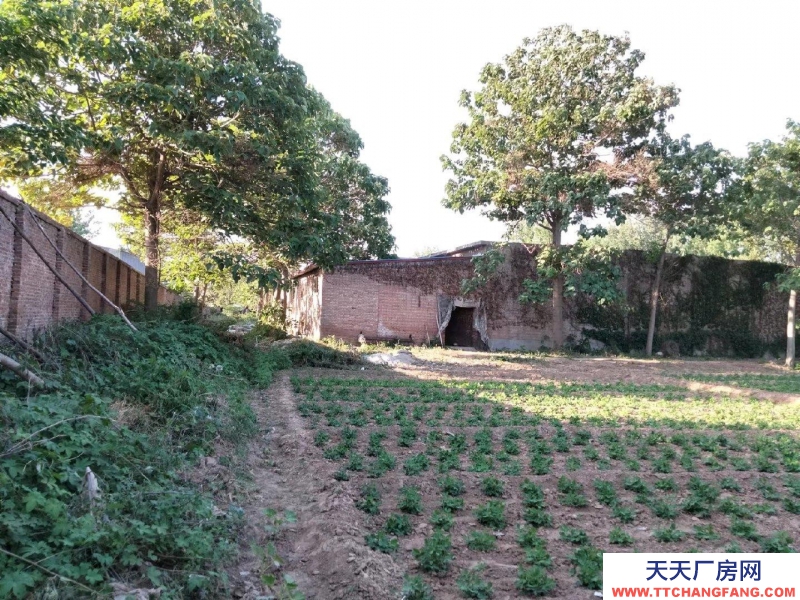 邯鄲 永年縣 出租閑置場地，面積8500平，另有部分廠房，分租也行