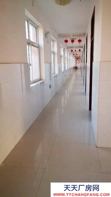 邯鄲 邱縣  出租/出售大面積廠房，宿舍樓