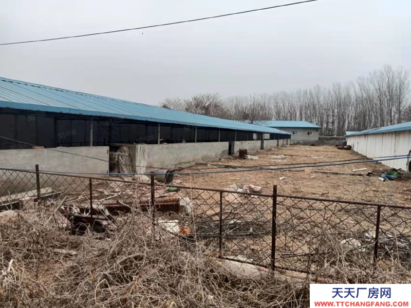 邯鄲 廣平縣 (出租) 都市導航）廣平縣農牧業廠房場地出租可分租