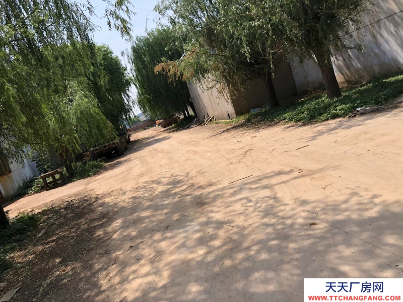 邯鄲 廣平縣 超低價(jià)出租邯鄲廣平15000平米廠房,交通便捷,生產(chǎn)加工方便