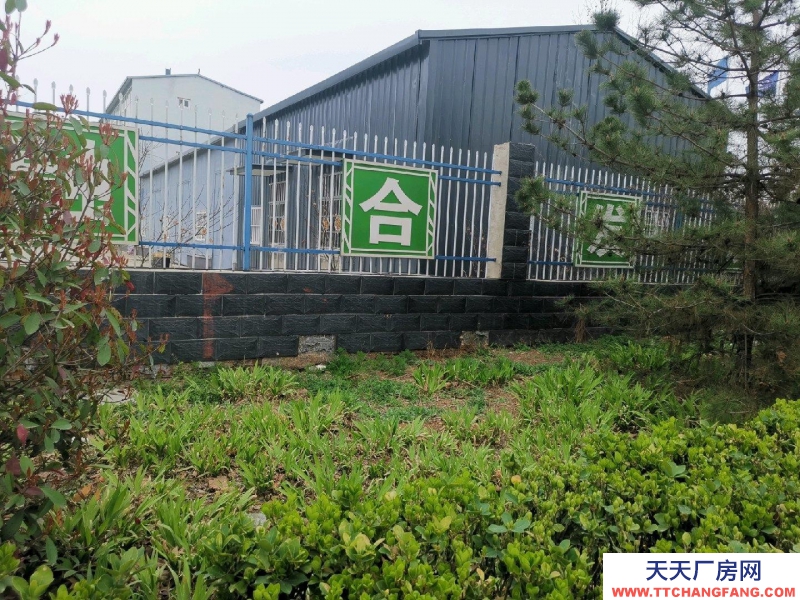 邯鄲 曲周縣  240平的倉庫，歡迎咨詢。