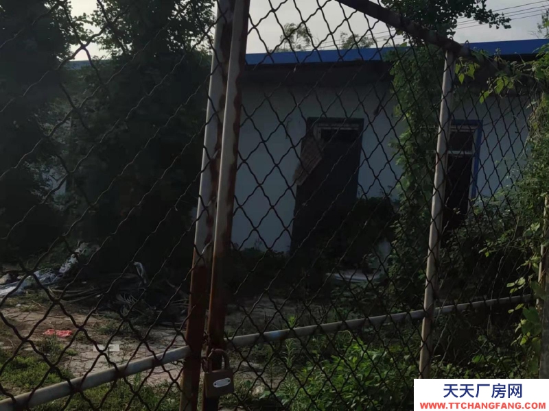 邯鄲 曲周縣 緊鄰定魏線，交通便利，水電方便！