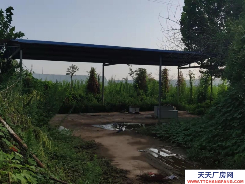 邯鄲 曲周縣 緊鄰定魏線，交通便利，水電方便！