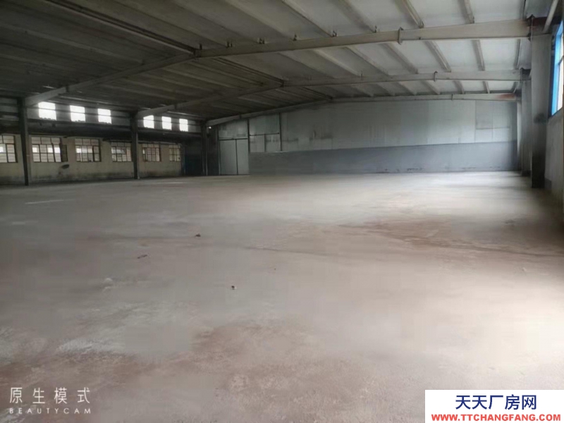 日照東港老204國道廠房出售