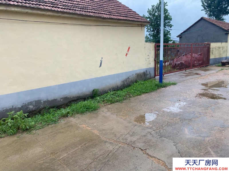 日照東港出售，出租，個人農家院一套，內有四畝院，可種植，加工。