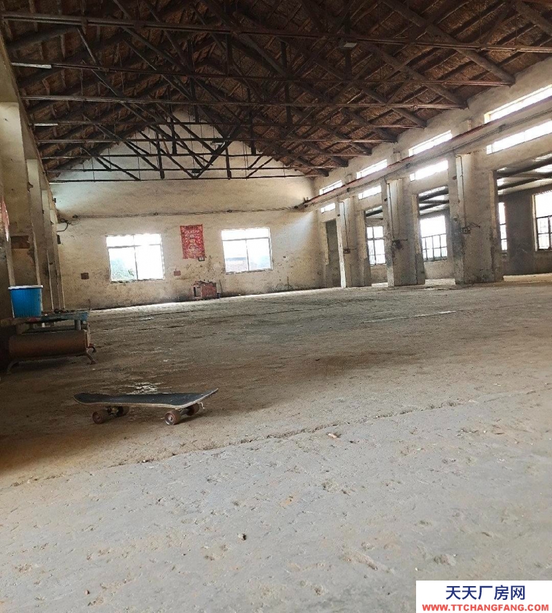 日照東港標準廠房，可做倉庫，有起重機