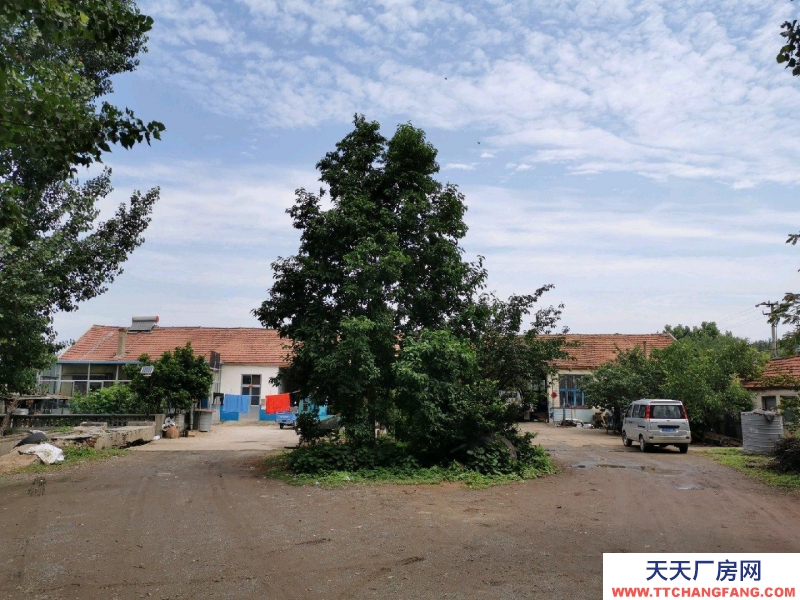 日照五蓮縣206國道北側2400平方米廠房出售