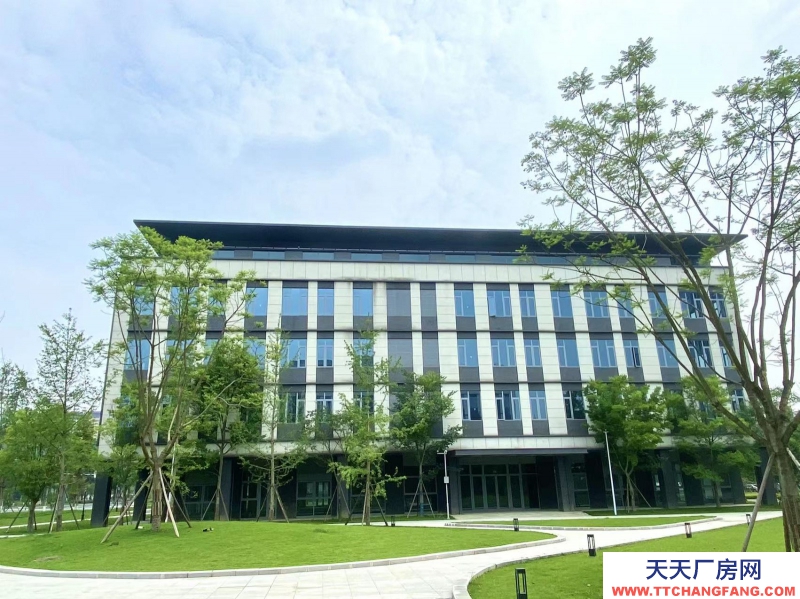 租售天府新區高端產業園，政策優惠