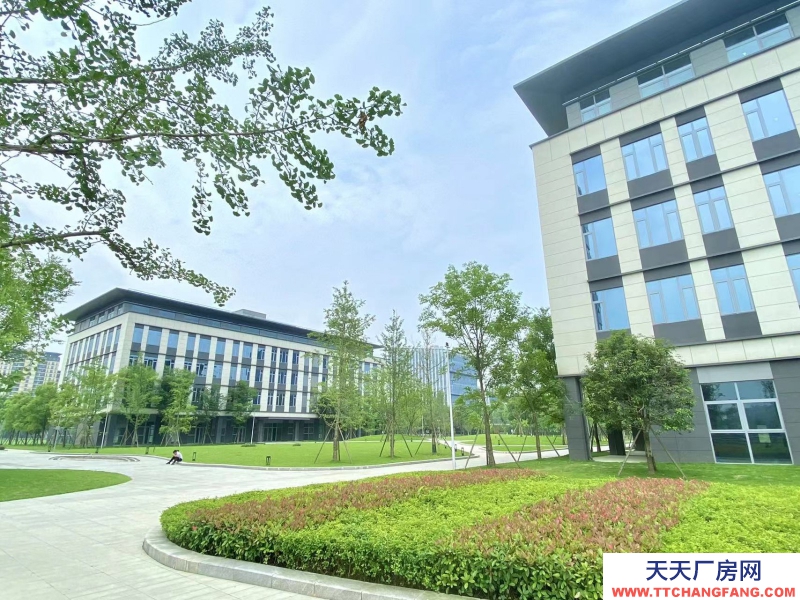 租售天府新區高端產業園，政策優惠