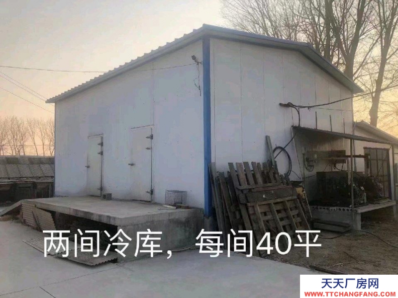 (出租)盤錦大洼縣 寬敞明亮 交通方便 水電齊全 有三相電