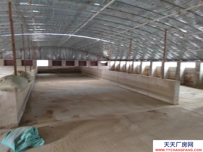 日照莒縣長嶺鎮高速路出入口東2公里