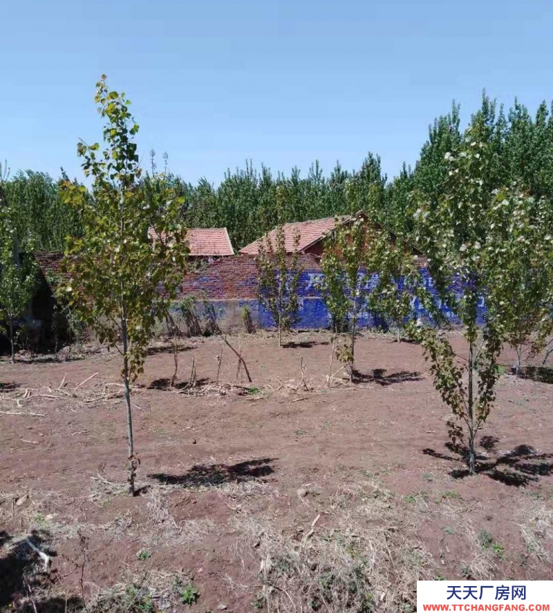 日照莒縣土地?廠房轉讓10萬，有土地使用證