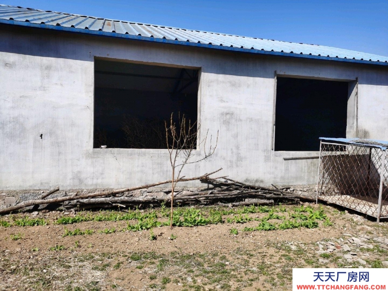 日照莒縣位置很好，環境優雅，可改造為休閑度假民宿居住