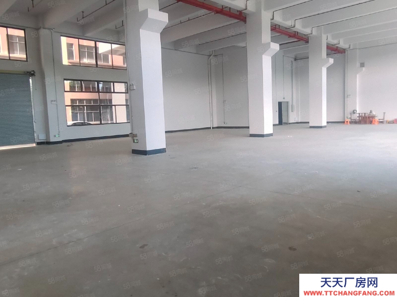 (出租) 佛山順德容桂高薪園區標準廠房出租，可辦環評，可分租，交通便利！