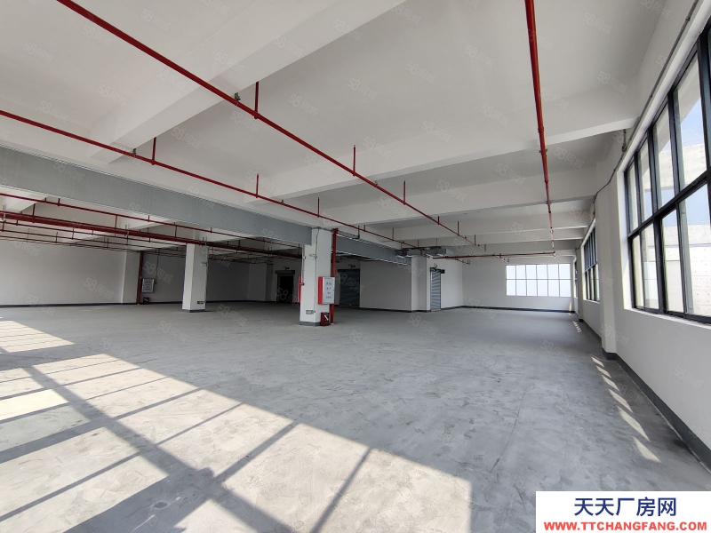 (出租) 佛山陳村新出標(biāo)準(zhǔn)樓層廠房出租丙二類消防帶噴淋空地大高臺卸貨好進車