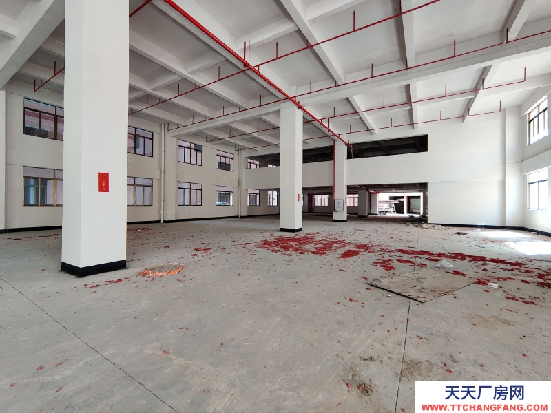 (出租) 佛山陳村新出標(biāo)準(zhǔn)樓層廠房出租丙二類消防帶噴淋空地大高臺卸貨好進車