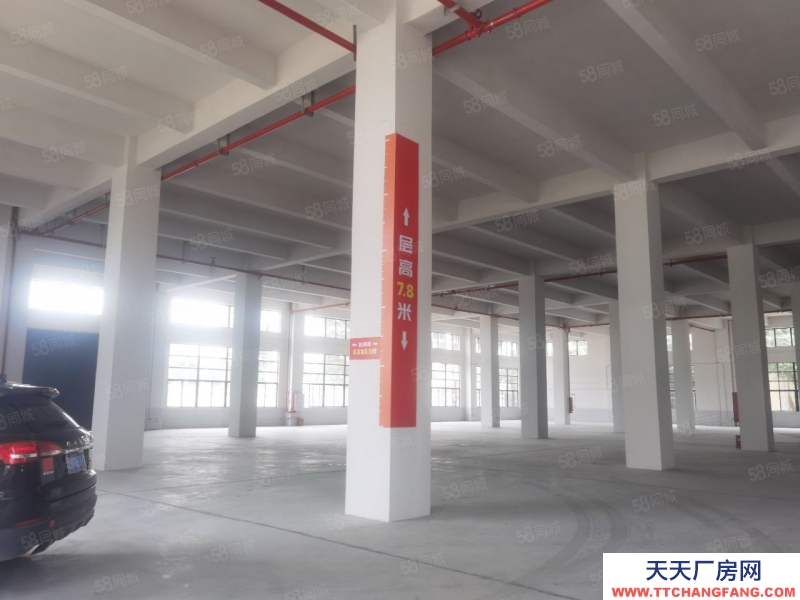 (出租) 佛山三水樂平，有全新獨門獨院廠房38000平米出租，可以分租