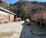 (出租) 教室三排，廠房600平米左右，操場一個