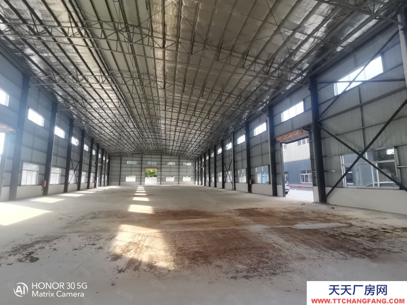 (出租) 佛山高朋獨門獨院三洲全新單一層12米高現成水電原房東便宜租環評包過