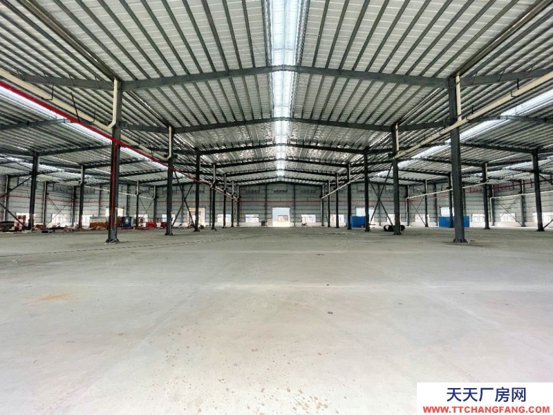 (出租) 佛山高朋滴水12米牛角位9米高明三洲鋼構(gòu)單一層廠房招租2000方起分