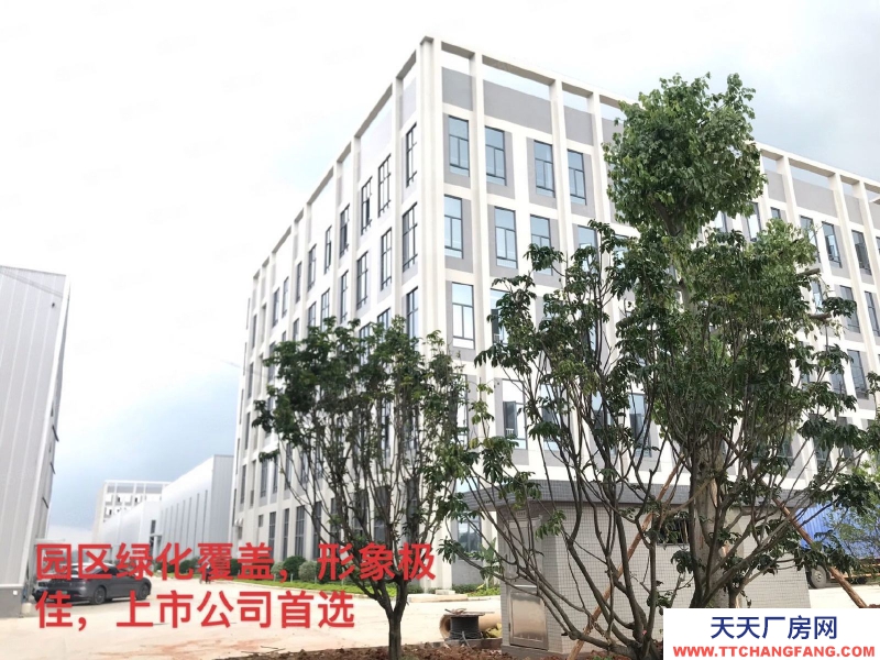 (出租) 佛山高明富灣工業區滴水11米全新廠房招租3萬方帶紅本