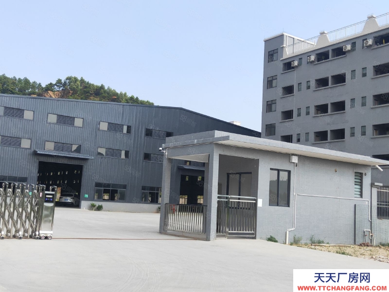 (出租) 佛山高朋原房東獨院標準廠房出租