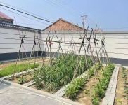 (出租) 延慶 康莊鎮 大營村 獨院 全新裝修